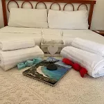 Alma 4* توري ديل ستيل