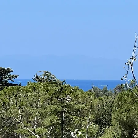 Alma Torre delle Stelle